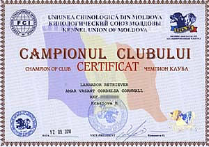 Молдова, диплом Чемпион Клуба